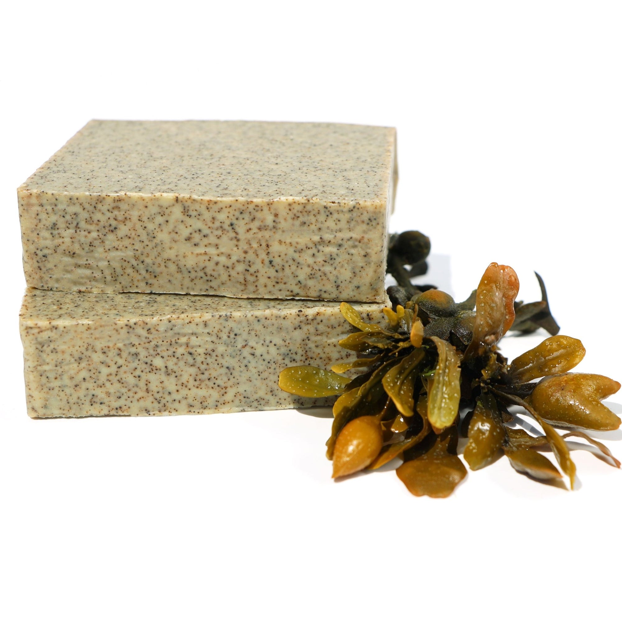 Seaweed Soap Made With Glacial Green Clay, Silk &amp; Crushed Seaweed - Koka Beauty